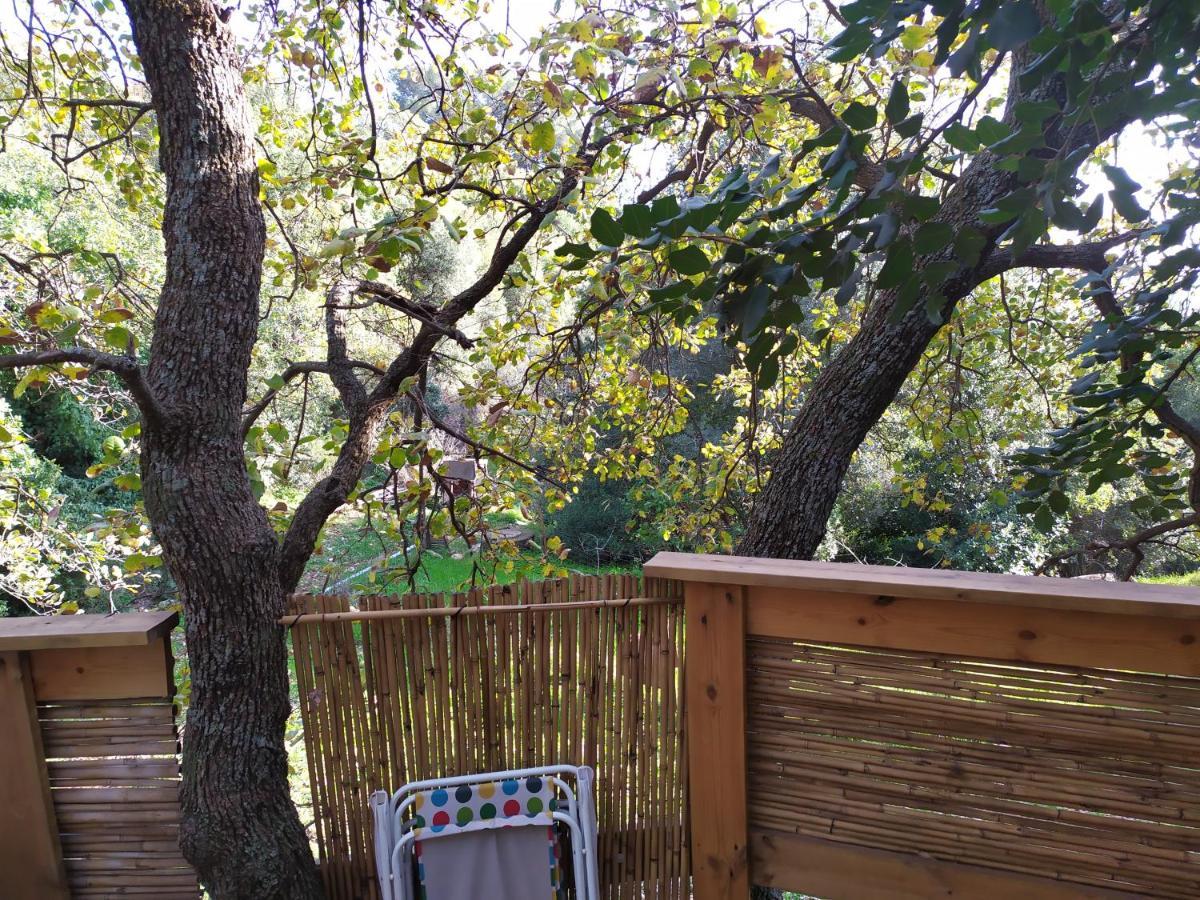 Singing Bird Hotel Amirim Exterior foto