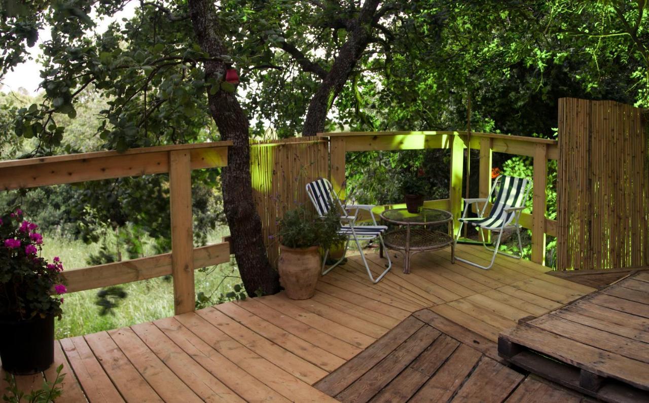 Singing Bird Hotel Amirim Exterior foto